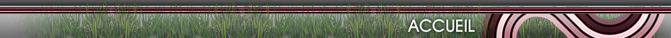 Accueil